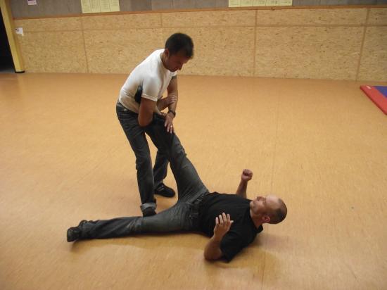 Démonstration de Savate Défense 2011 - Philippe et Dominique